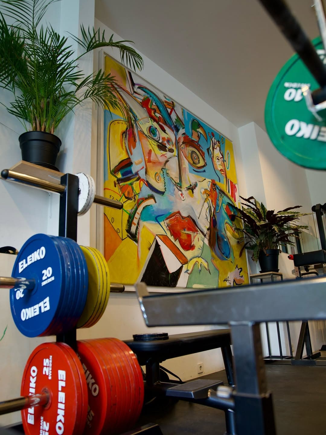 Foto van woonkamer sportschool met schilderijen aan de muur en gekleurde gewichten en planten